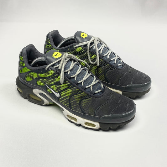 Nike Air Max Plus 'Amphibian' (2014)