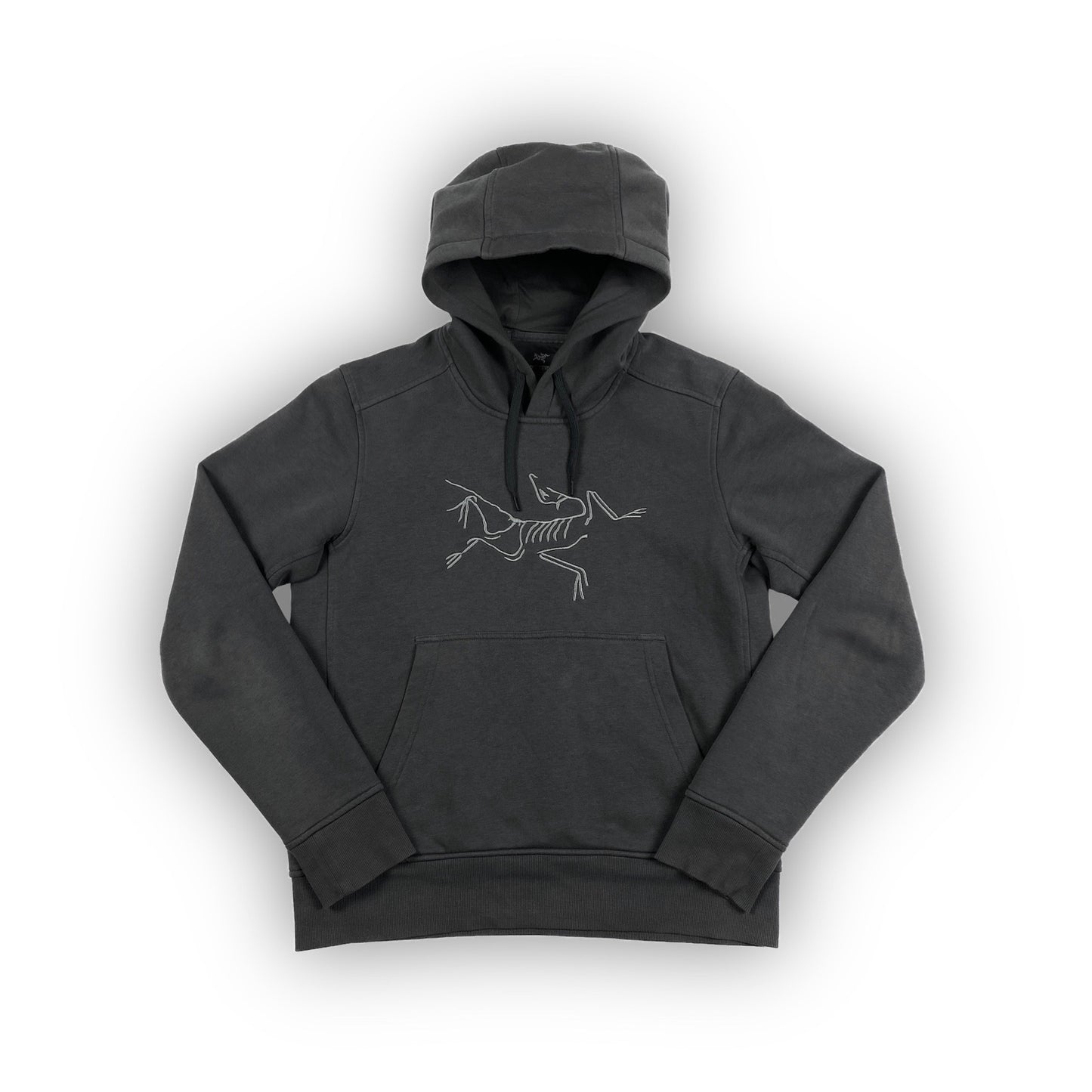 ARCTERYX Logo Hoodie