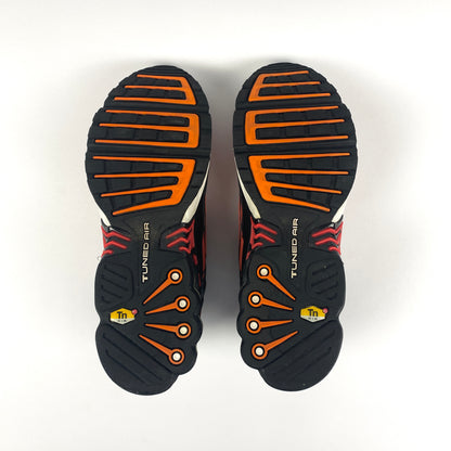 Nike Air Max Plus Tn 3 'Tiger' (2019)