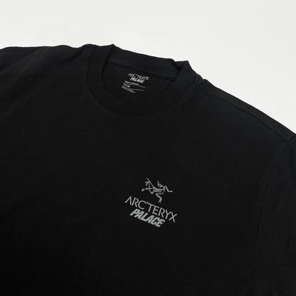 PALACE x ARCTERYX shirt