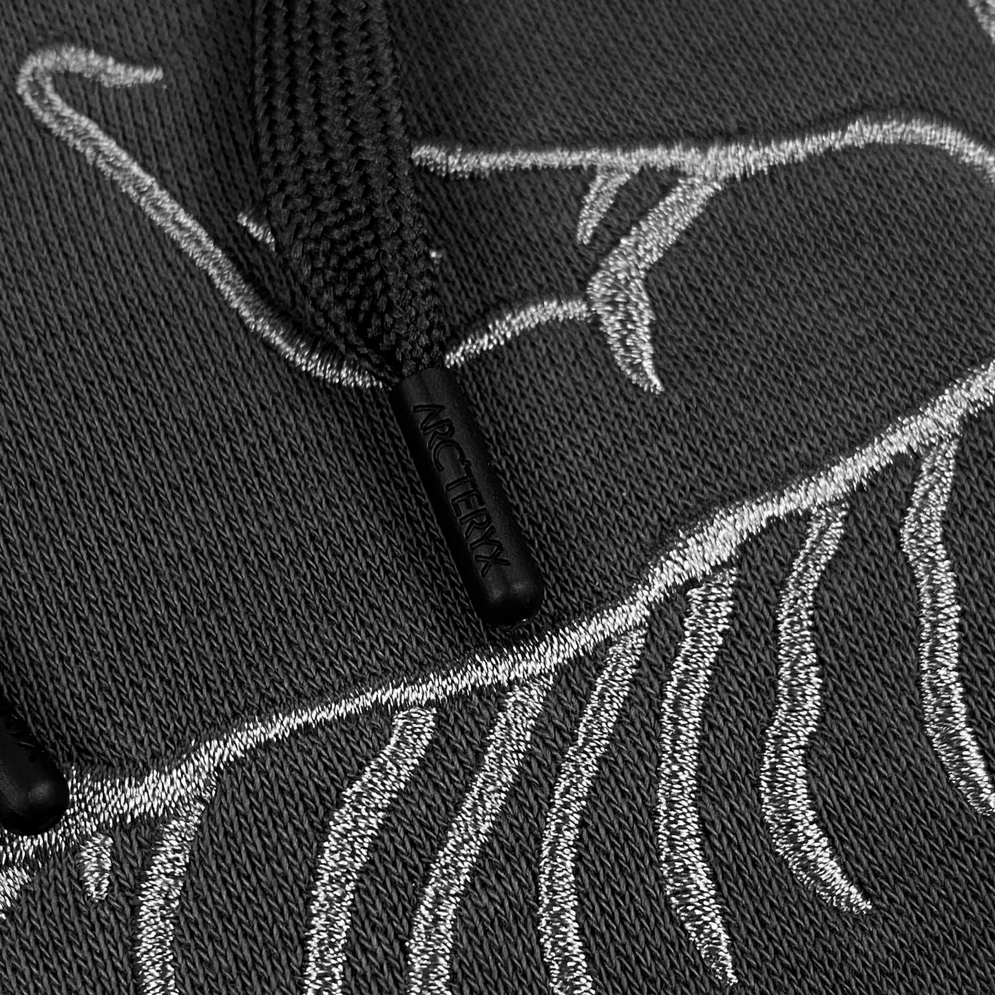 ARCTERYX Logo Hoodie