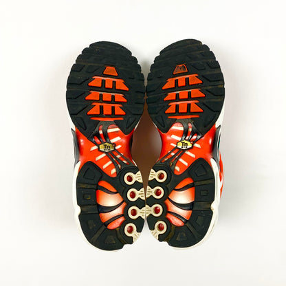 Nike Air Max Plus Tn 'Team Orange Neptune Green' (2018)