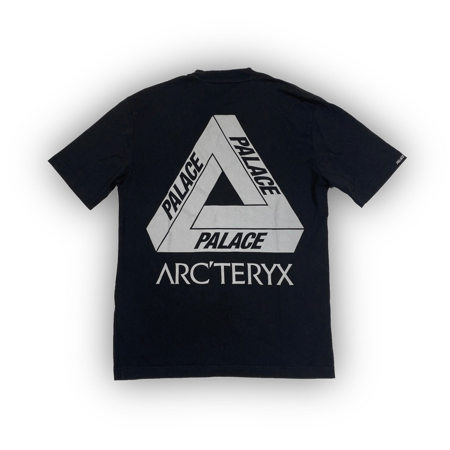 PALACE x ARCTERYX shirt